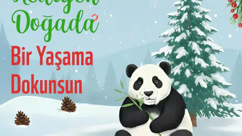 Panda Dükkan’dan Sürdürülebilir Yılbaşı Hediyeleriyle Yeni Yıl Kutlaması!