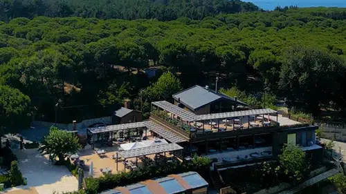 Yeni Yıla Işıltılı Bir Giriş İçin Doğru Nokta Kesinleşti