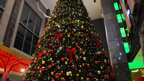 Regnum, Yeni Yılı "The Regnum Express" ile Coşku Dolu Bir Şekilde Kutluyor!