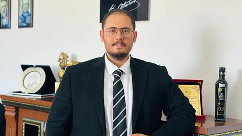 Ayvalık’a Özgü Yeşil Zeytinler, Kök Zeytincilik’ten!