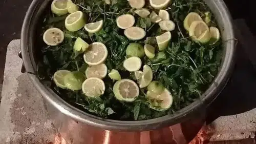 Nane Pekmezi: Doğal Ferahlığın ve Şifanın Sofranıza Yansıması