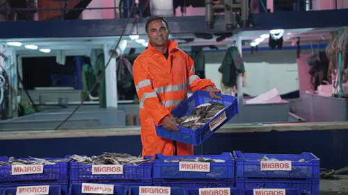Migros, Yeni Projesiyle Türkiye'nin Dört Bir Yanına 15 Bin Ton Taze Balık Dağıtacak!