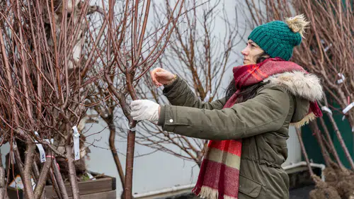 Bahçe Marketlerde Taze Dalından Meyve Coşkusu!