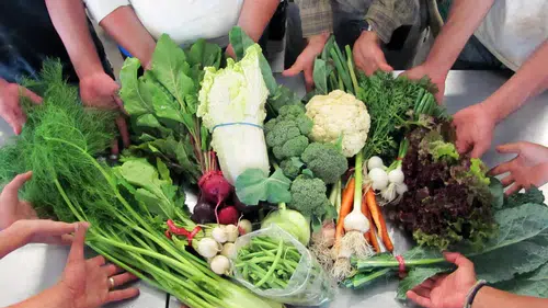 Gıda Toplulukları: Gerçek Beslenmeye Giden Kısa Yol!