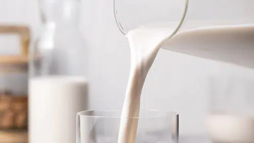 Thermomix® ile Vegan Mutfakta Lezzet Yolculuğuna Çıkın!