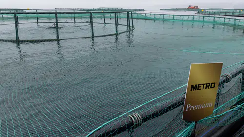 Sofralarınızı Şenlendiren Metro Premium Türk Somonu Tekrar Satışta!