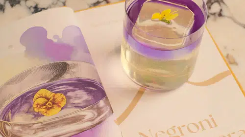 Bodrum'da Michelin Yıldızı Büyüsü: Monteverdi ve Malva Restoranları Yaz Boyunca Susona'da!