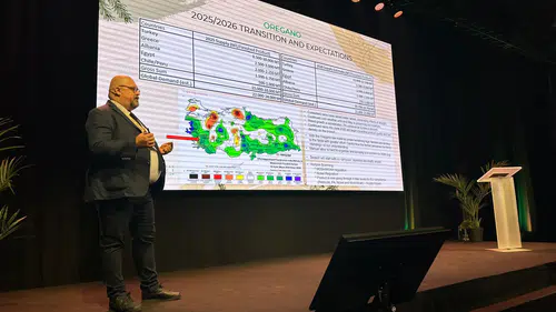 Ege'den Avrupa'ya Baharat Ticareti: Yeni Bir İkili Bağ Kuruluyor!