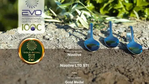NizOlive, EVO IOOC 2026'daki Müthiş Başarısıyla Altın Madalya Kazandı!