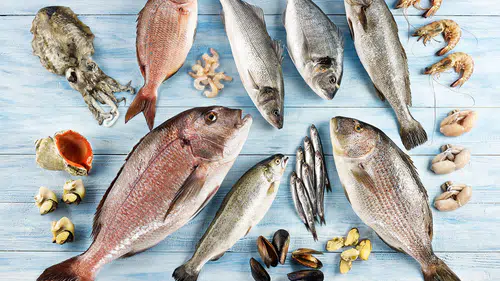 Su Ürünleri Sektörü, Future Fish Eurasia'da Bir Araya Geliyor!
