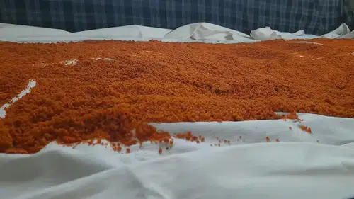 Kış Mevsiminin Favorisi: Yazdan Gelen Kurutulmuş Lezzetlerle Zengin Sofralar!