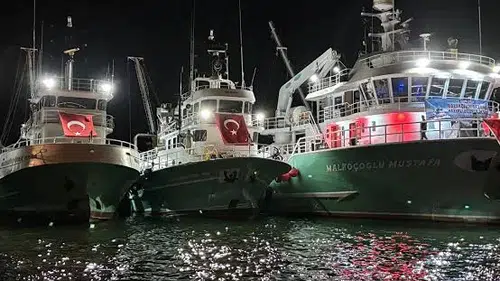 Taze Balık Zamanı! Balıkçılar Tezgahlarını Hazırladı, Lezzet Avı Başlıyor!