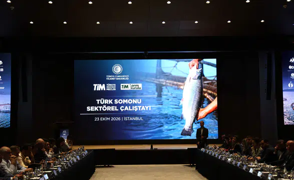 Türkiye, Somon İhracatında Dünyanın Zirvesine Oynamayı Hedefliyor