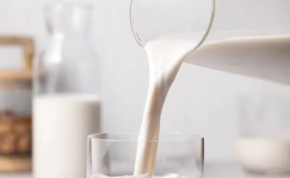 Thermomix® ile Vegan Mutfakta Lezzet Yolculuğuna Çıkın!