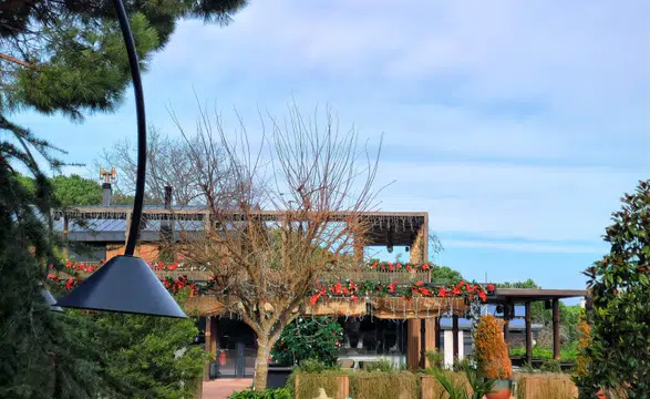 Sevgililer Günü'nde Aşk, Zarafet ve Lezzet: Laurel İstanbul’da Romantik Bir Buluşma!