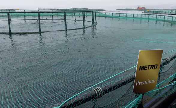 Sofralarınızı Şenlendiren Metro Premium Türk Somonu Tekrar Satışta!