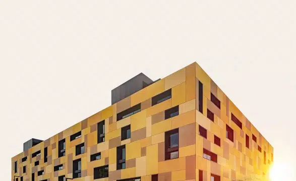 Balparmak, Türk Balını Global Pazara Taşıyarak İhracatta Zirveye Yerleşti