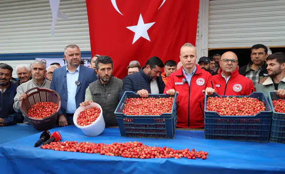 Kiraz Rüyası Bu Yıl Gerçek Oluyor!