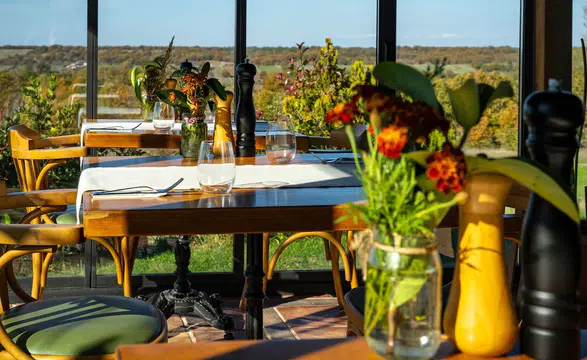 Kurumsal Toplantılar İçin Yeni Mekan: BAKUCHA VİNYARD OTEL!