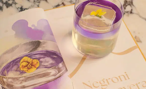Bodrum'da Michelin Yıldızı Büyüsü: Monteverdi ve Malva Restoranları Yaz Boyunca Susona'da!