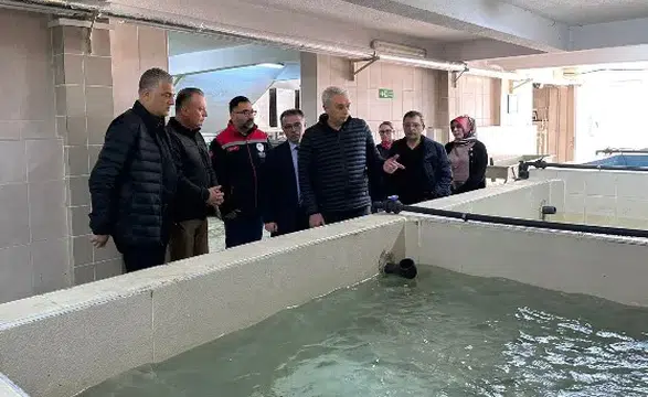 Türkiye Su Ürünleri Üretiminde Rekor Kırdı, İhracat Gelirleri Artıyor