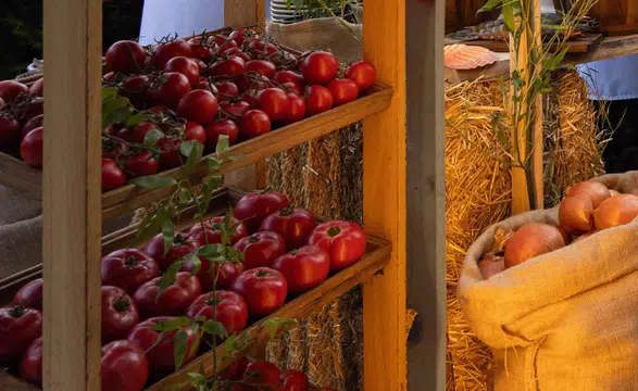 JW Marriott İstanbul'da Ispanyol Temasıyla Unutulmaz Yaz Sezonu Açılışı Gerçekleşti!