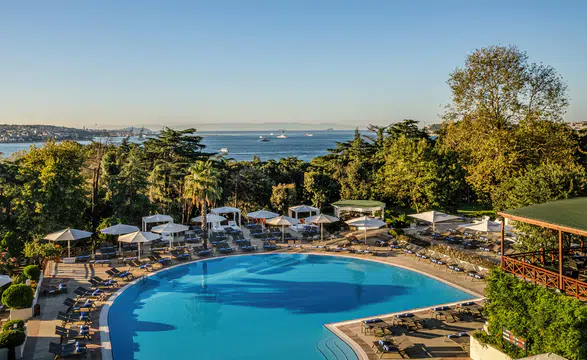 Şehir Hayatının Zirvesi: Modern Yaşamanın İhtişamı