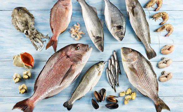 Su Ürünleri Sektörü, Future Fish Eurasia'da Bir Araya Geliyor!