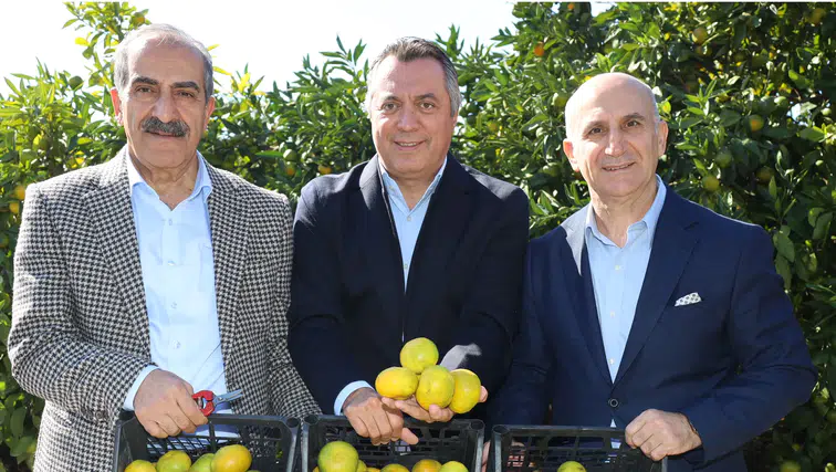 Satsuma Mandalinasında İhracat Sezonu Başladı!