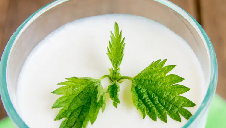 Süt Ürünleri: Susuzluğu Gidermede Etkili Bir Alternatif!