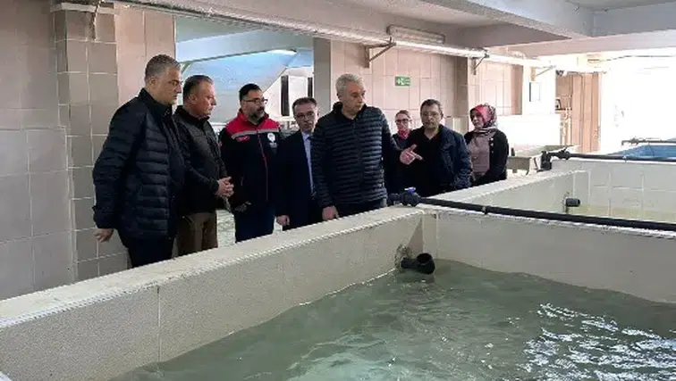 Türkiye Su Ürünleri Üretiminde Rekor Kırdı, İhracat Gelirleri Artıyor