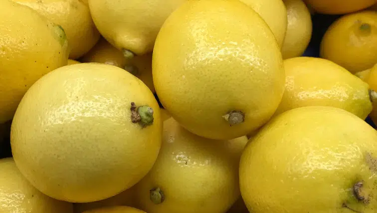 Limon İhracatı Miktarı Azaldı, Döviz Gelirleri Yükseldi!
