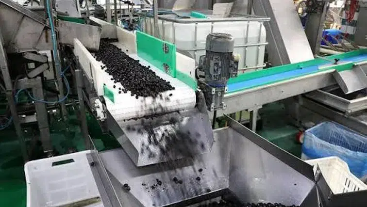 Marmarabirlik, İhracat Stratejisini Orta Doğu Pazarına Yönlendirdi