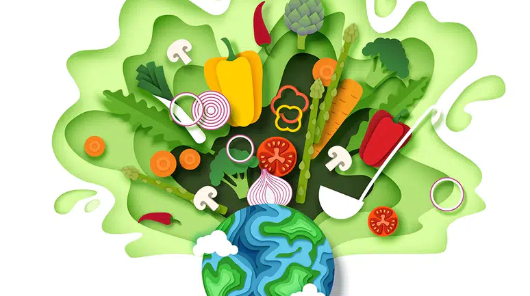 Sabri Ülker Vakfı, Dünya Gıda Günü'nde Gıda Okuryazarlığının Gerekliliğine Vurgu Yapıyor