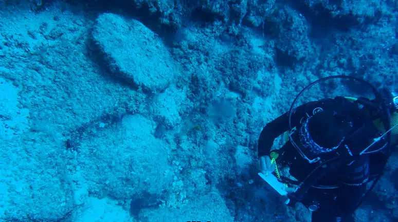 Titanic Otels, Lüks Turizmde Çevre Dostu Yeniliklerle Dikkat Çekiyor: "We Value" Programıyla Sürdürülebilirlik Vurgusu!