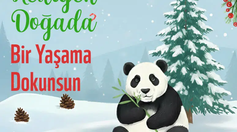 Panda Dükkan’dan Sürdürülebilir Yılbaşı Hediyeleriyle Yeni Yıl Kutlaması!