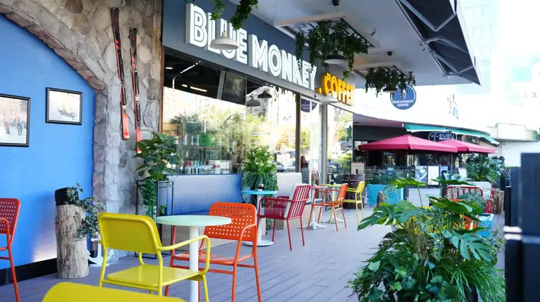Blue Monkey Coffee, SPX desteğiyle Milas'ta İlk Franchise Şubesini Açmaya Hazırlanıyor!
