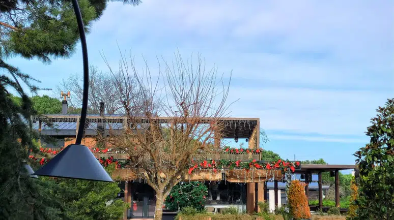 Sevgililer Günü'nde Aşk, Zarafet ve Lezzet: Laurel İstanbul’da Romantik Bir Buluşma!