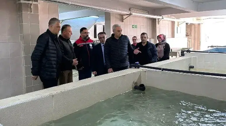 Türkiye Su Ürünleri Üretiminde Rekor Kırdı, İhracat Gelirleri Artıyor