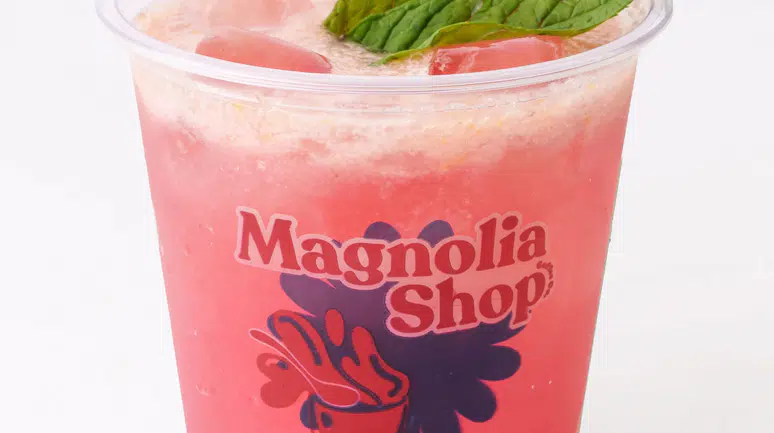 Yazın Keyfi Magnolia Shop Bardakları ile Yeniden Yaşanıyor!