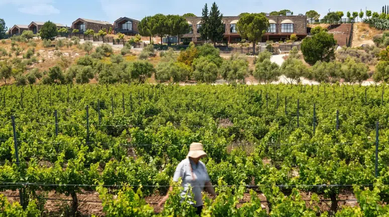 Turizmde Kalıcı İz Bırakan Deneyimler: Kültür, Sanat ve Gastronomi