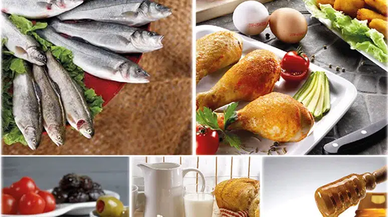 Dünya Genelinde Protein İhtiyacını Karşılayan İhracatçıların Yıllık Geliri 2 Milyar Doları Geçti!