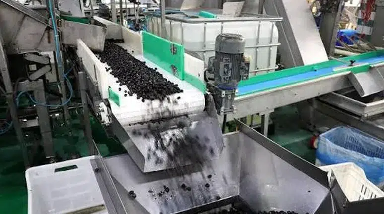 Marmarabirlik, İhracat Stratejisini Orta Doğu Pazarına Yönlendirdi