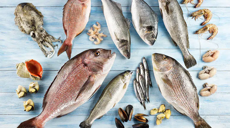 Su Ürünleri Sektörü, Future Fish Eurasia'da Bir Araya Geliyor!