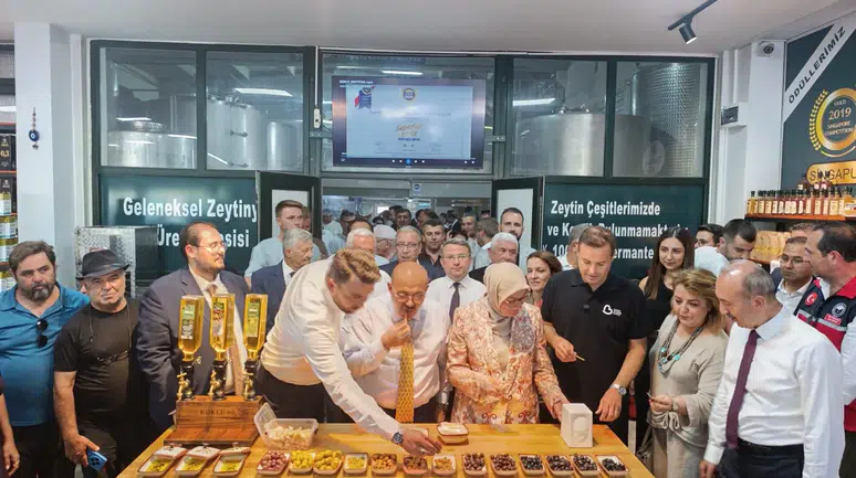 Ayvalık'ta Zeytin Hasadı Başladı: Yıl Sonunda 400 Bin Ton Zeytinyağı Beklentisi!