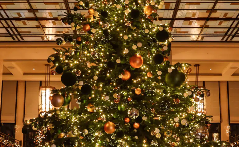 İstanbul'un The Peninsula Oteli'nde Yılbaşı Gecesi Büyüleyici Bir Atmosfer Sunacak!