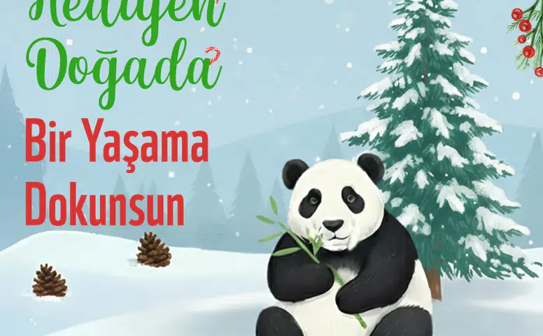 Panda Dükkan’dan Sürdürülebilir Yılbaşı Hediyeleriyle Yeni Yıl Kutlaması!