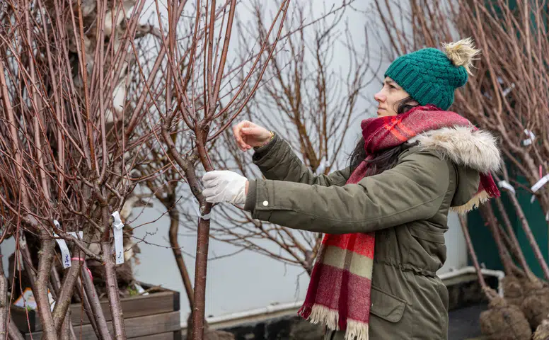 Bahçe Marketlerde Taze Dalından Meyve Coşkusu!