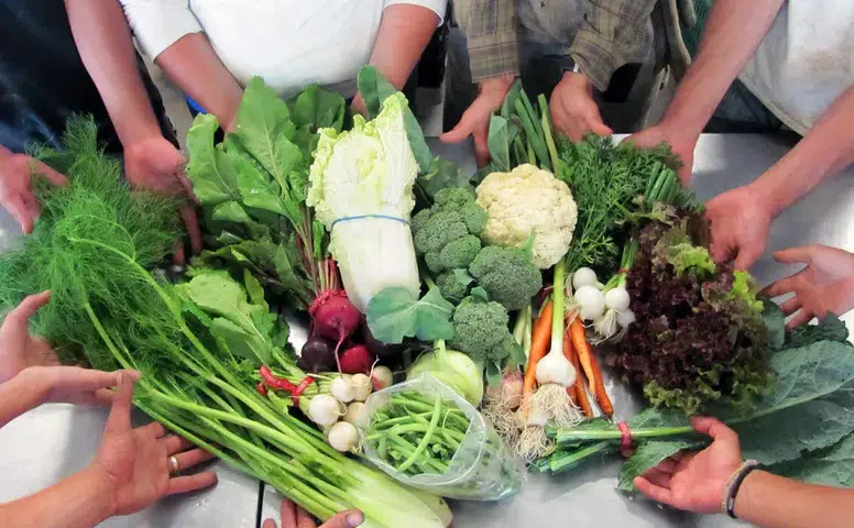 Gıda Toplulukları: Gerçek Beslenmeye Giden Kısa Yol!