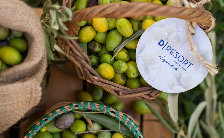 D-Resort Ayvalık’ta Zeytinin Tarihine Yolculuk: Yeni Deneyimlerle Zenginleşiyor!